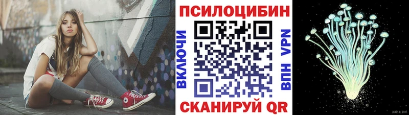 что такое   Канаш  Галлюциногенные грибы Cubensis 